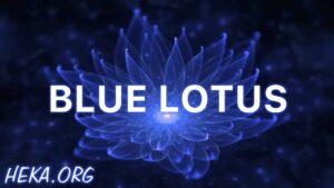 Blue Lotus Meditation